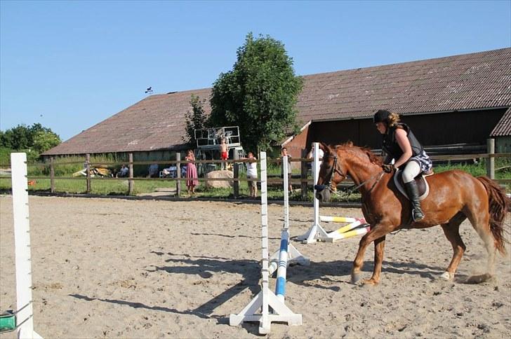 Frederiksborg  apollo (rideskole) - spring træning (,: billede 12