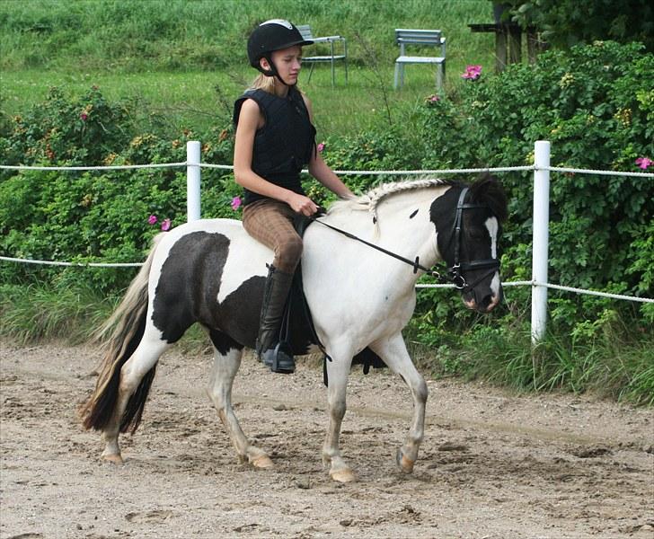 Anden særlig race Tia ~Sendt hjem~<3 - [Foto: Julie Sundberg] billede 10