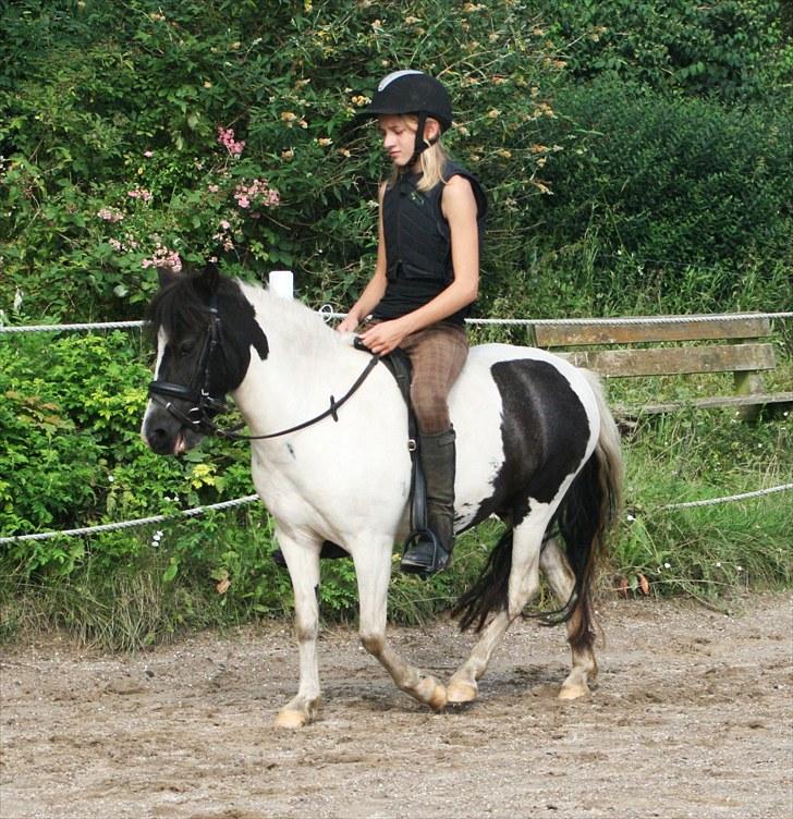 Anden særlig race Tia ~Sendt hjem~<3 - [Foto: Julie Sundberg] billede 12