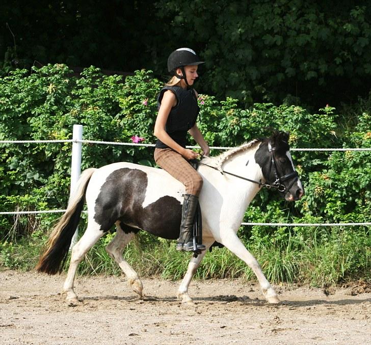 Anden særlig race Tia ~Sendt hjem~<3 - 4. gang trav :D [Foto: Julie Sundberg] billede 13