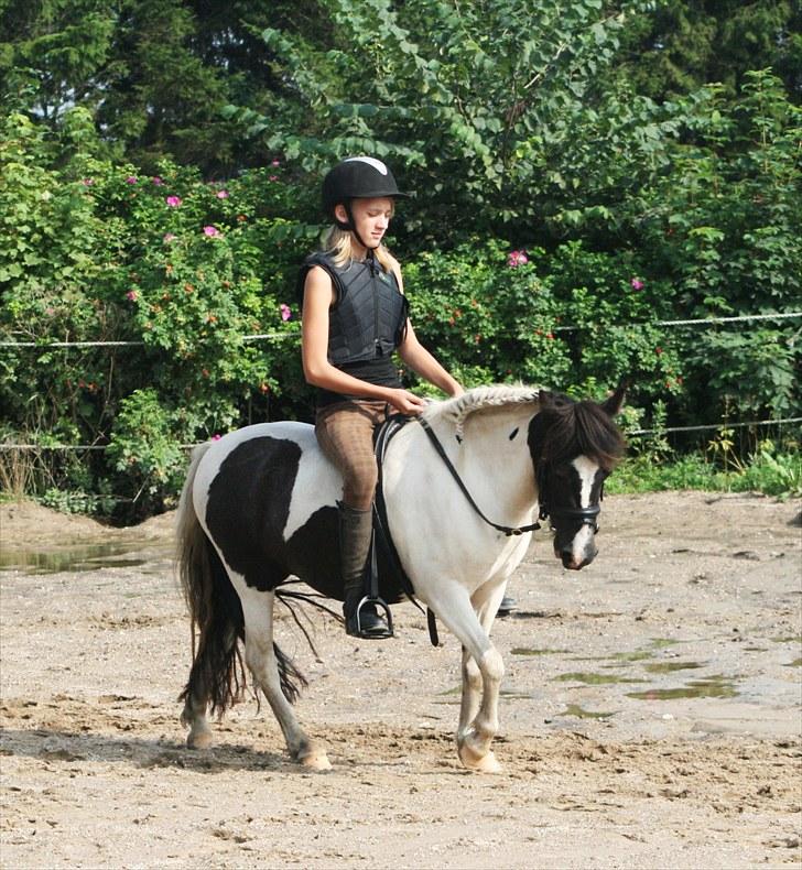 Anden særlig race Tia ~Sendt hjem~<3 - Skridter af efter en super god ridetime :D [Foto: Julie Sunberg] billede 14