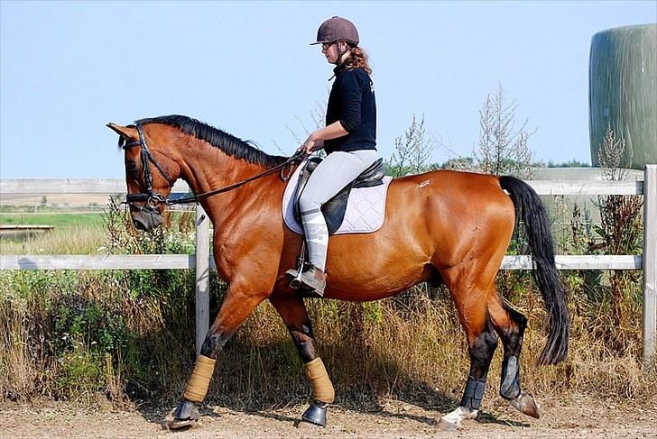 Oldenborg Aaron mak - 15 August 2010 billede 13