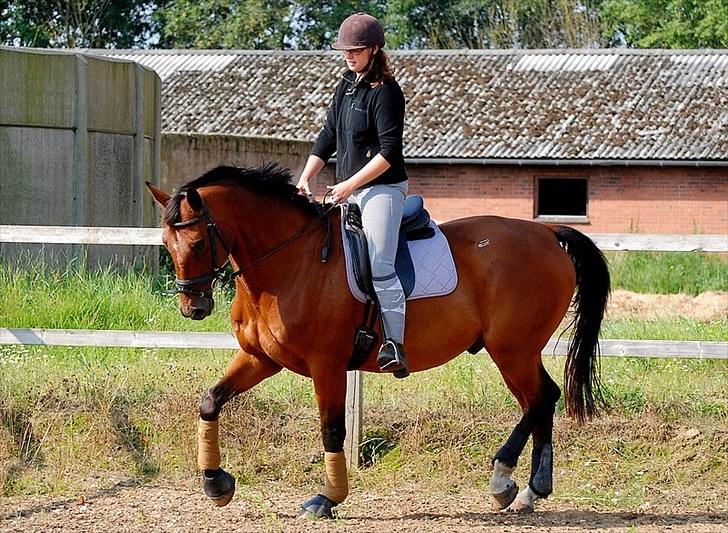 Oldenborg Aaron mak - 15 August 2010 billede 14