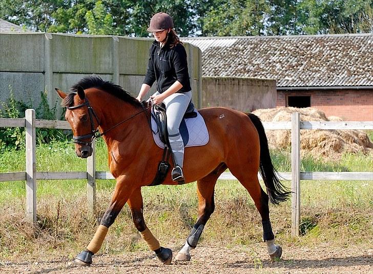Oldenborg Aaron mak - 15 August 2010 billede 1