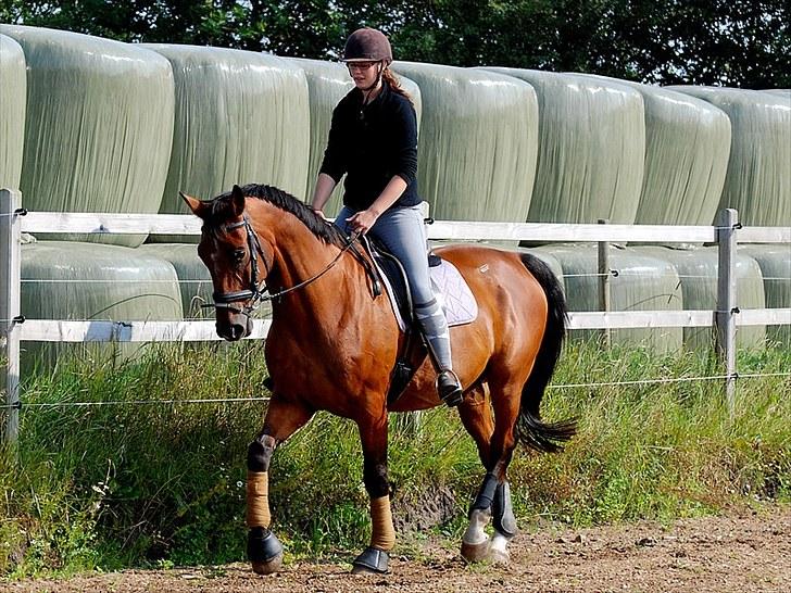 Oldenborg Aaron mak - 15 August 2010 billede 15