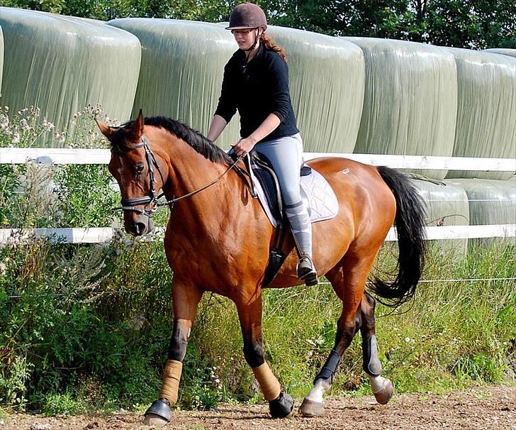 Oldenborg Aaron mak - 15 August 2010 billede 16