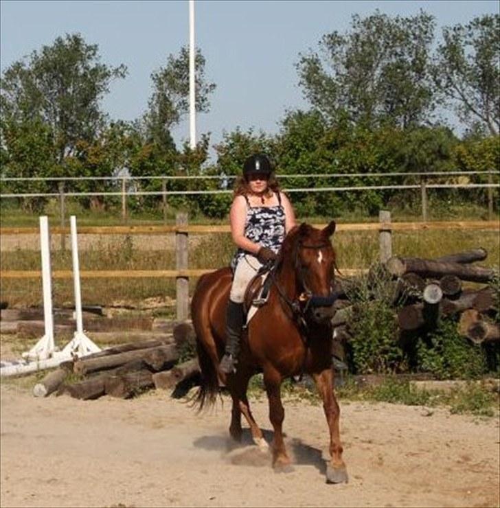 Frederiksborg  apollo (rideskole) - dressur med hackamore... we are a team! billede 14
