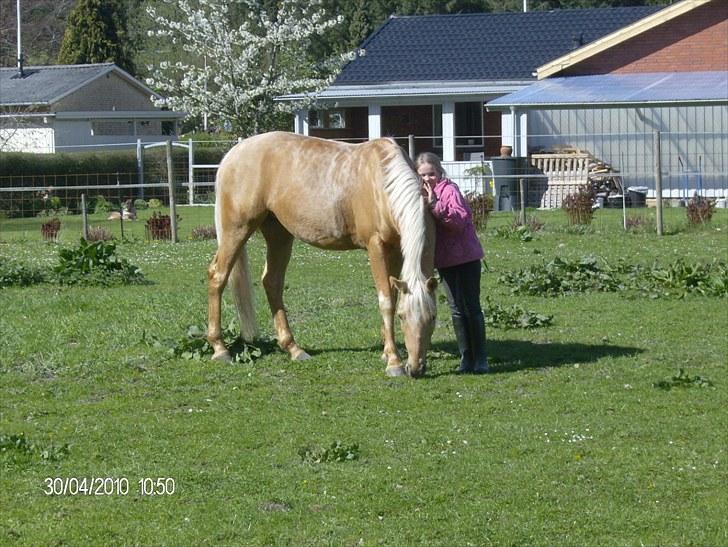 DSP katborgs lou lou billede 11