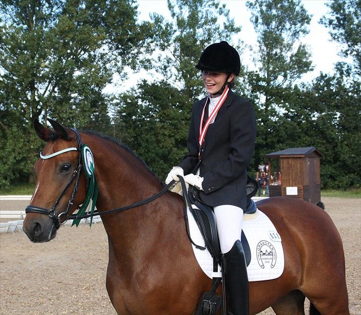 DSP Milan A.M. A-Pony<3 *SOLGT* - DM hold dressur 2010 Bronze billede 20