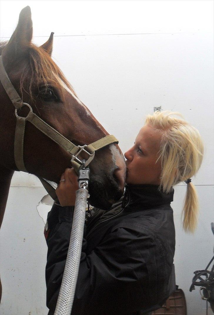 Anden særlig race  | Cantos Caballero - IL0VEY0U BASSE!*: billede 12
