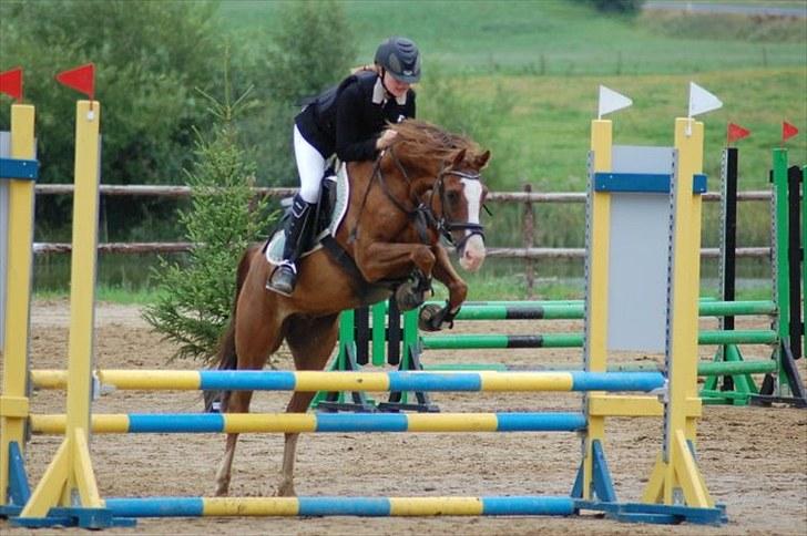 DSP ZIWAGO billede 12