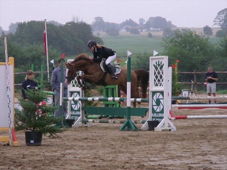 DSP ZIWAGO billede 13