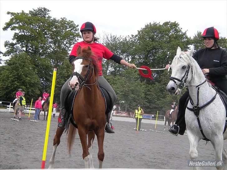 Hollandsk Sportspony Jade<3 Princess <3 :* den bedste himmel hest  - games billede 13