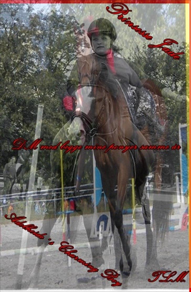 Hollandsk Sportspony Jade<3 Princess <3 :* den bedste himmel hest  - games billede 16