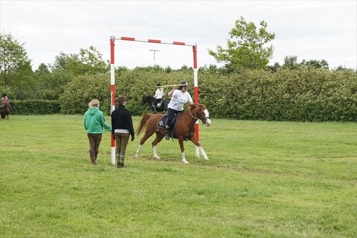 Hollandsk Sportspony Jade<3 Princess <3 :* den bedste himmel hest  - ringridning i Egtved  billede 19