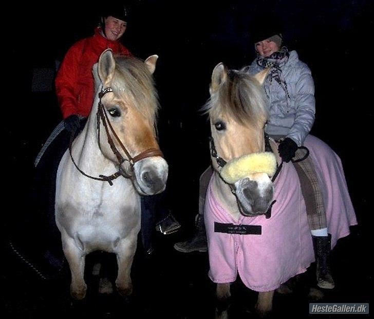 Fjordhest Annasmindes Sylvester - 9. Mig og Pylle - Minna og Bamse :-) Hyggelig tur!! ;-) billede 10