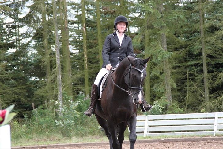 Hannoveraner roadrunner - 15-08/2010 dressur stævne lb2 billede 14