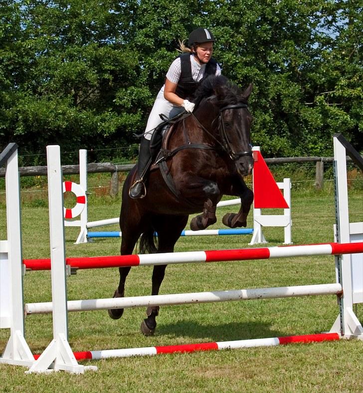 Anden særlig race Viva Vilma billede 17