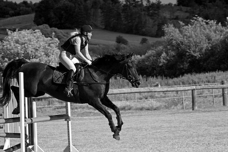 Anden særlig race Viva Vilma billede 18