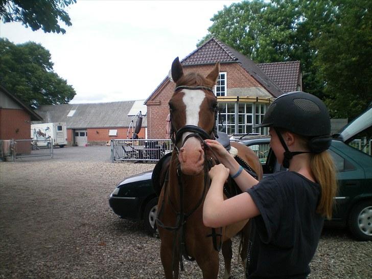 DSP ZIWAGO billede 14