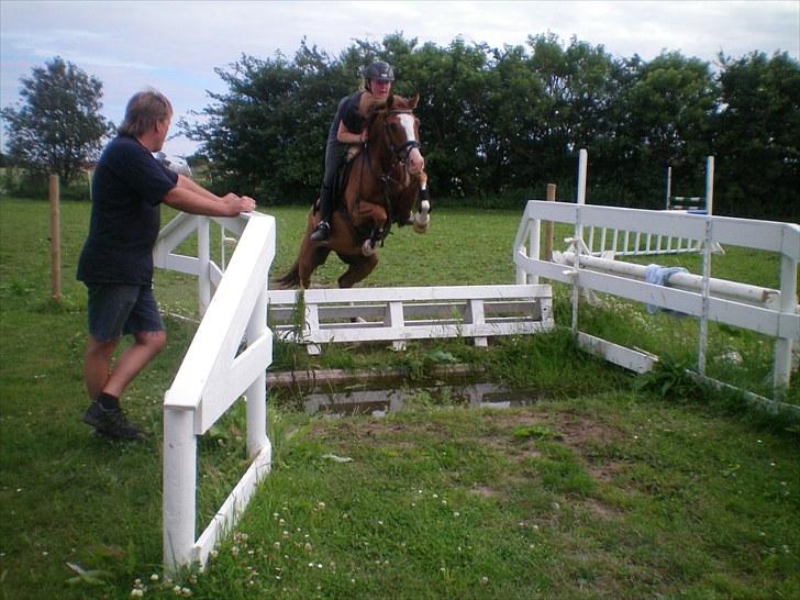 DSP ZIWAGO - wags springer vand. billede 15