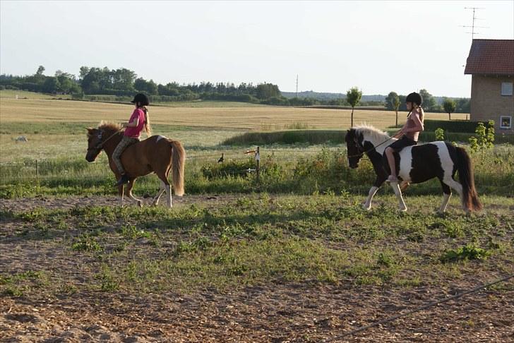 Anden særlig race Peter (Solgt) - Peter og Julie, Christina og mig. billede 11