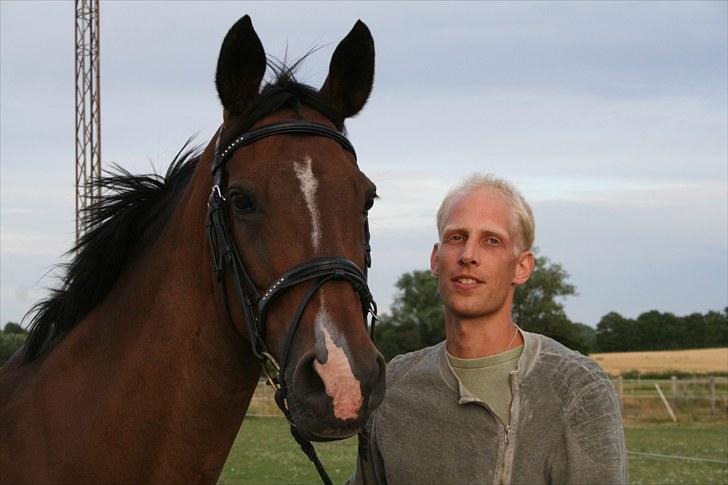 Trakehner Ismene billede 7