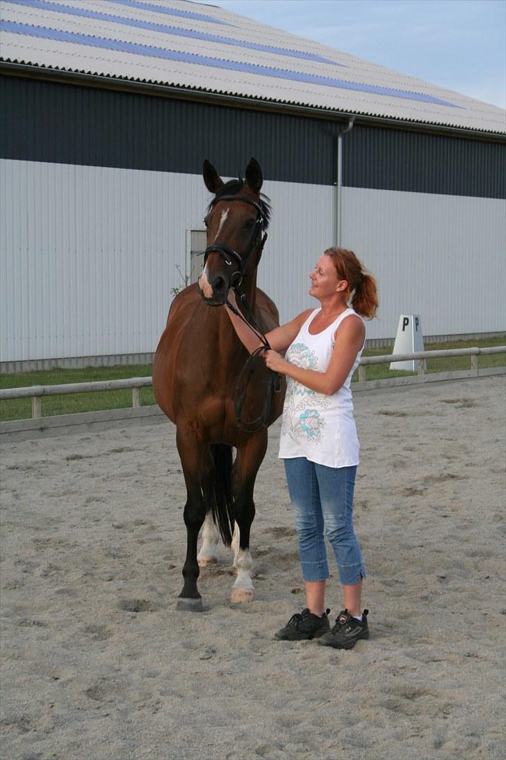 Trakehner Ismene billede 10