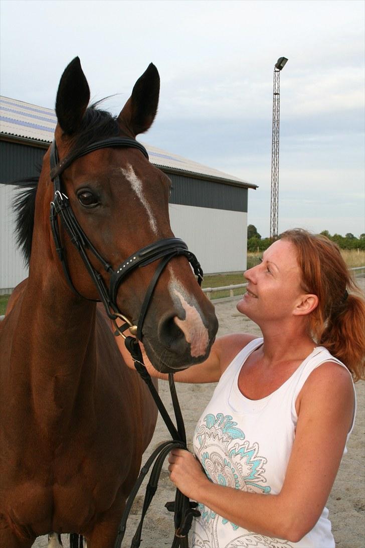 Trakehner Ismene billede 11