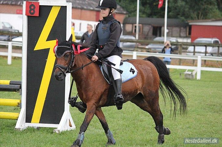 Anden særlig race Buster - du for sej ponze<3 vinder af bording cuppen billede 16