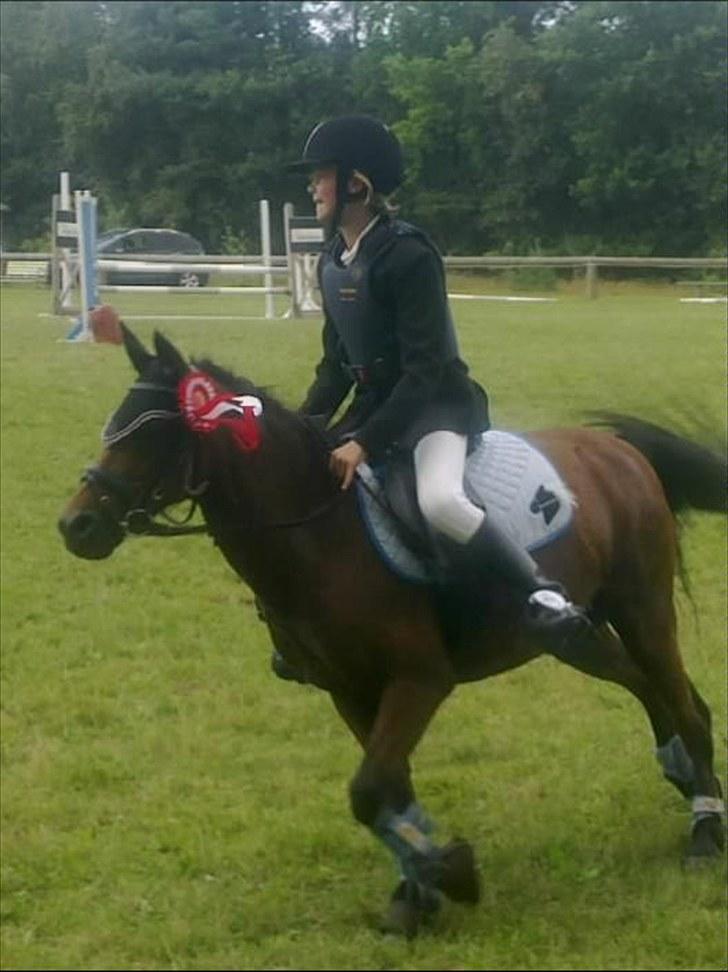 Anden særlig race Buster - æresrunde LB 1. plads billede 17