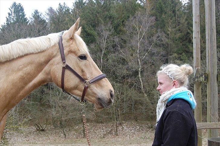 Palomino Pikachu Ørnhøj - Pika, du betyder alt! billede 4