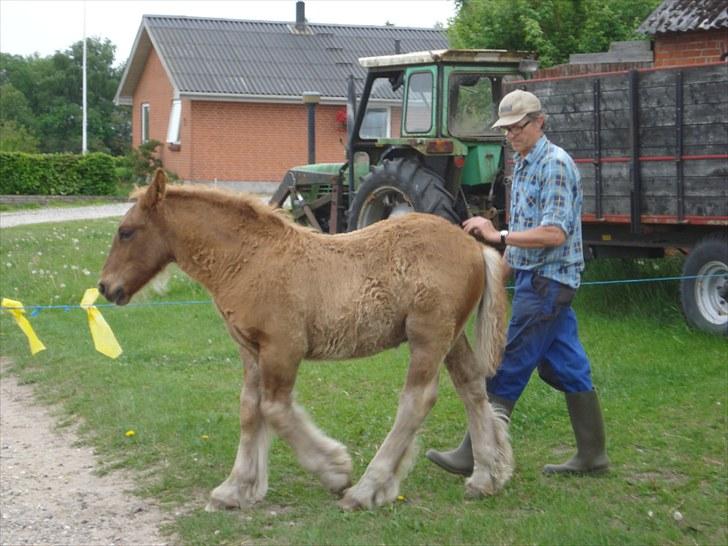 Jyde Findus Tindbæklund billede 14