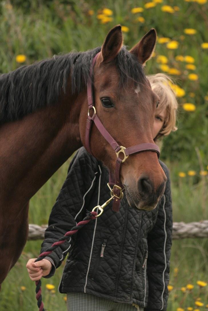 Anden særlig race Nicole billede 3