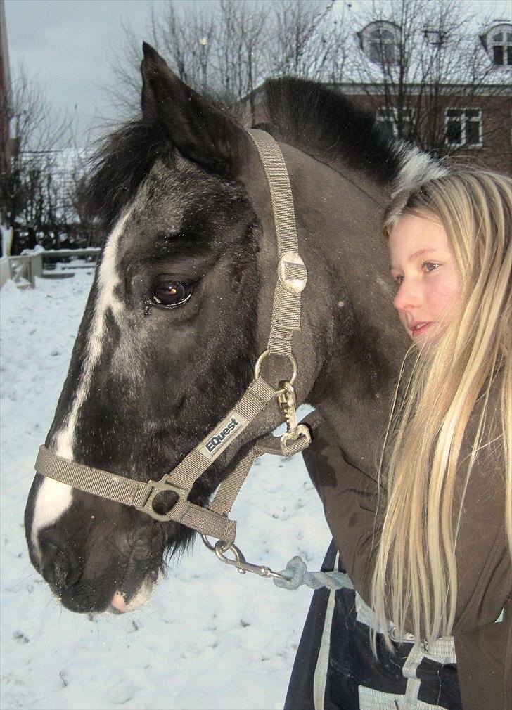 Anden særlig race Bounty ( TIDLIGER DRØMME PART ) - how can we live without love? I live with the fact I live with you! my best friend<3  billede 1