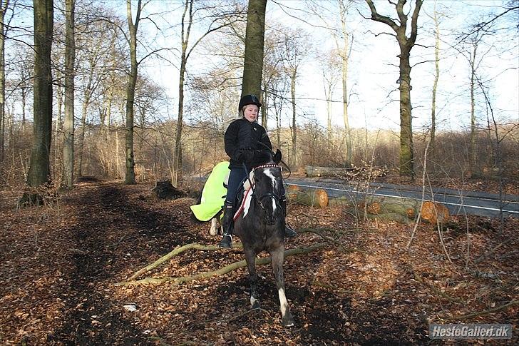 Anden særlig race Bounty ( TIDLIGER DRØMME PART ) - han satte lige lidt stort af<3 billede 2