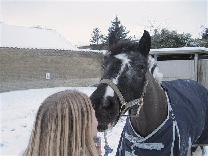 Anden særlig race Bounty ( TIDLIGER DRØMME PART ) - kiss in the snow, jeg elsker dig basse <3 billede 3