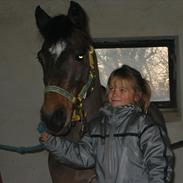 Connemara Charmeur R.I.P. 