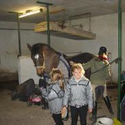 Connemara Charmeur R.I.P. 