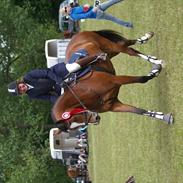 Holstener Valløs Lucky Mary