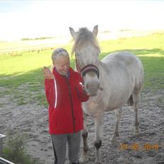 Knabstrupper Inger AKA Brumbas(savnet)