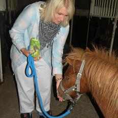 Shetlænder Bob Marley