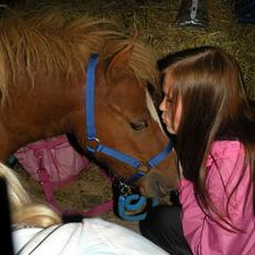 Shetlænder Bob Marley