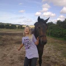 Anden særlig race Cavalina