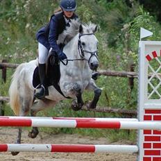 Connemara Siegård's Mynthe |Red|