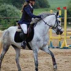 Connemara Siegård's Mynthe |Red|