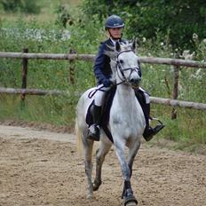 Connemara Siegård's Mynthe |Red|