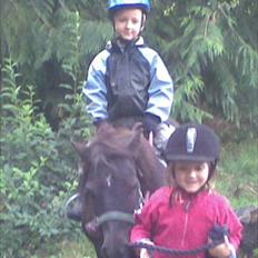 Shetlænder Jordbær Marie (Skovlundens Gipsy)