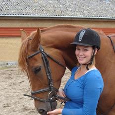 Hannoveraner Conelija