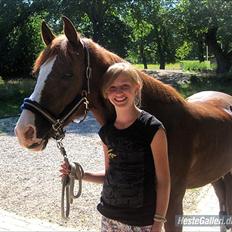 Anden særlig race tango